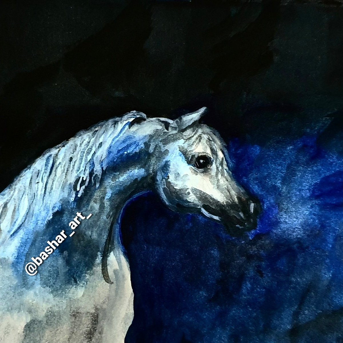 bashar_art_'s tweet photo. #horse #watercolor #horselover #watercolorpainting #artist #art #animals #Blue #draw #drawing #urbanart #urbandesign #painting #ilovepainting #paintflow #contemporarypainter #colors #style #sketch #studioscenes #calledtobecreative #pursuepretty #workonpaper #pencil #ink https://t.co/IRoAiMa49A