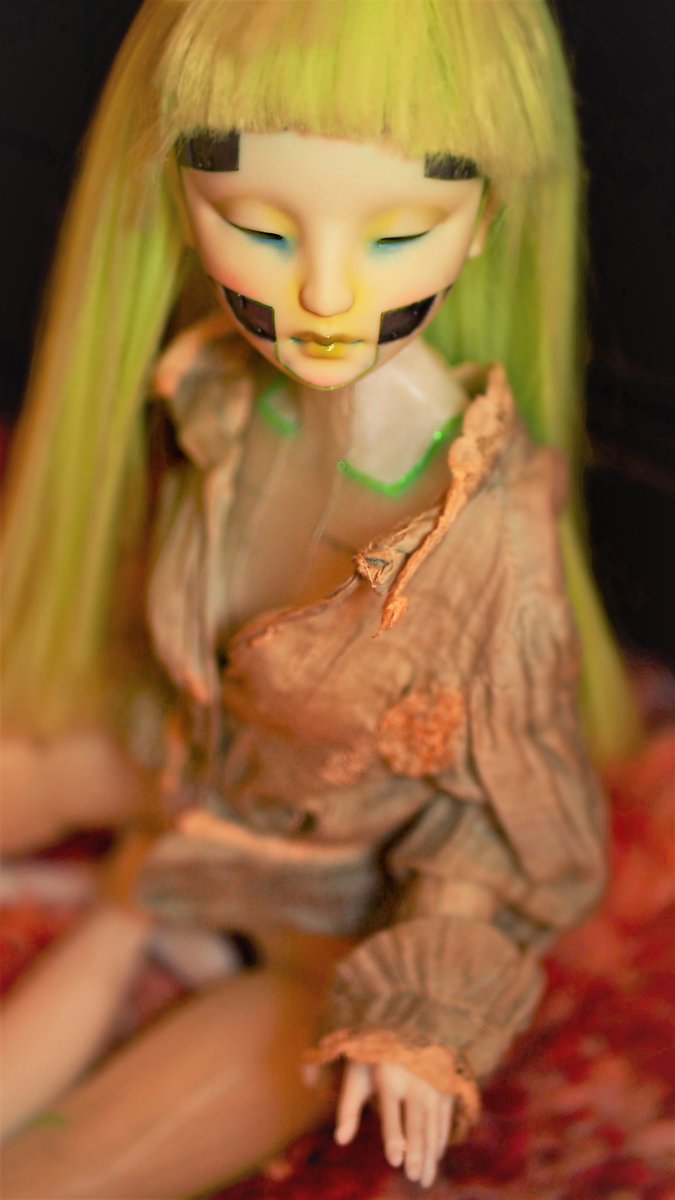 S. D. Schuda tweet media