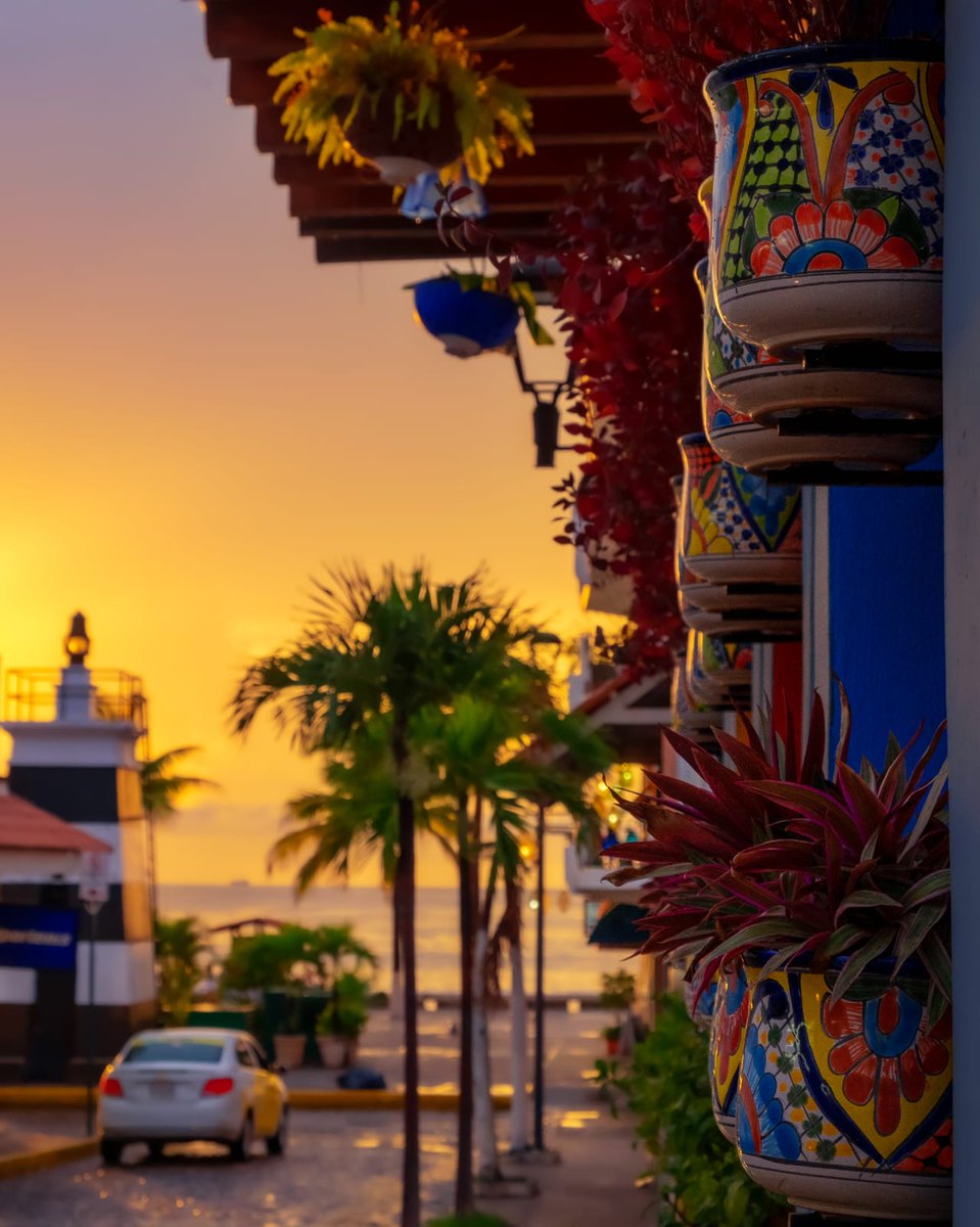 Bitcoin Vallarta tweet media