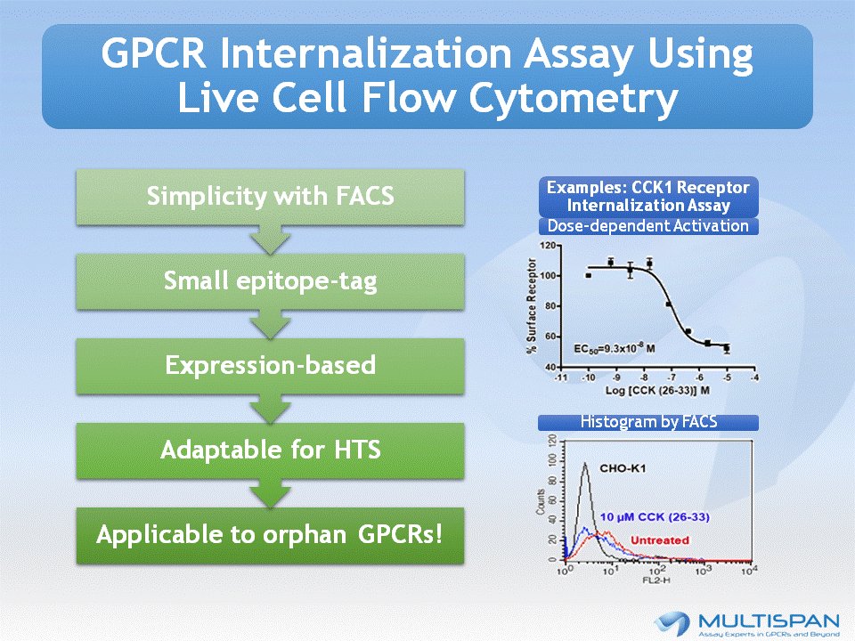 MultispanGPCR's tweet photo. Need to screen for #GPCR internalization in high throughput? #Multispan has the assay for you! Applicable for #HTS, lead characterization, and orphan GPCRs. Learn more @ https://t.co/9dxaA1a476 #research #drugdiscovery https://t.co/m8w8bv7DKo