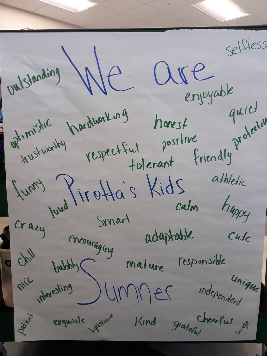 mrspirotta's tweet photo. Community builder today in class. My juniors and seniors gave me words that described themselves and we talked about the danger of a "single story". #buildthemup #raysup #movethatmountain #pirottaskids #wearesumner @Sumner2027 https://t.co/wey1cq0vX9