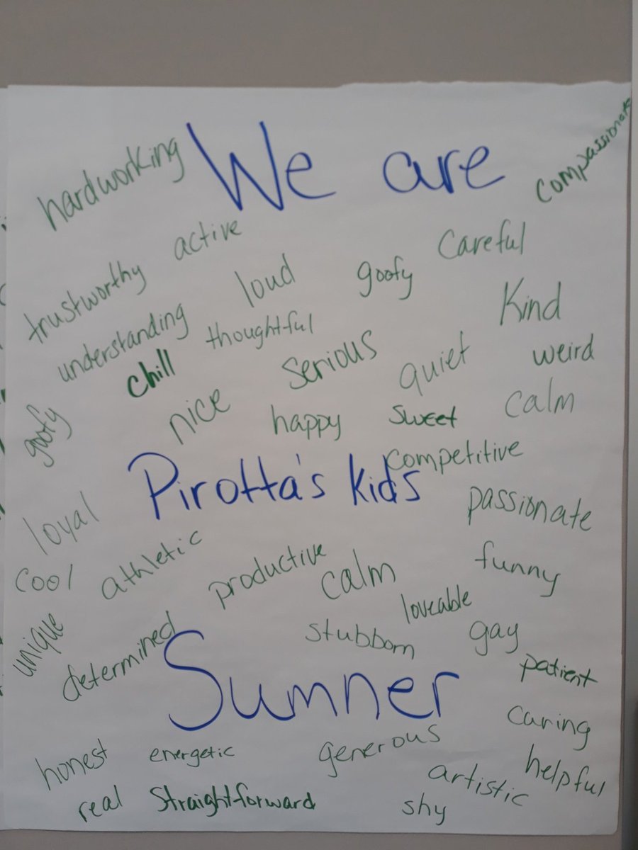 mrspirotta's tweet photo. Community builder today in class. My juniors and seniors gave me words that described themselves and we talked about the danger of a "single story". #buildthemup #raysup #movethatmountain #pirottaskids #wearesumner @Sumner2027 https://t.co/wey1cq0vX9