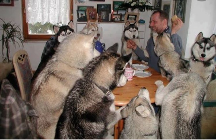 Tuğba (@tugbatnd) on Twitter photo 