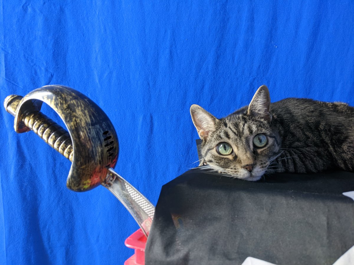 Miss Jackalope / @MissJackalope@defcon.social tweet media