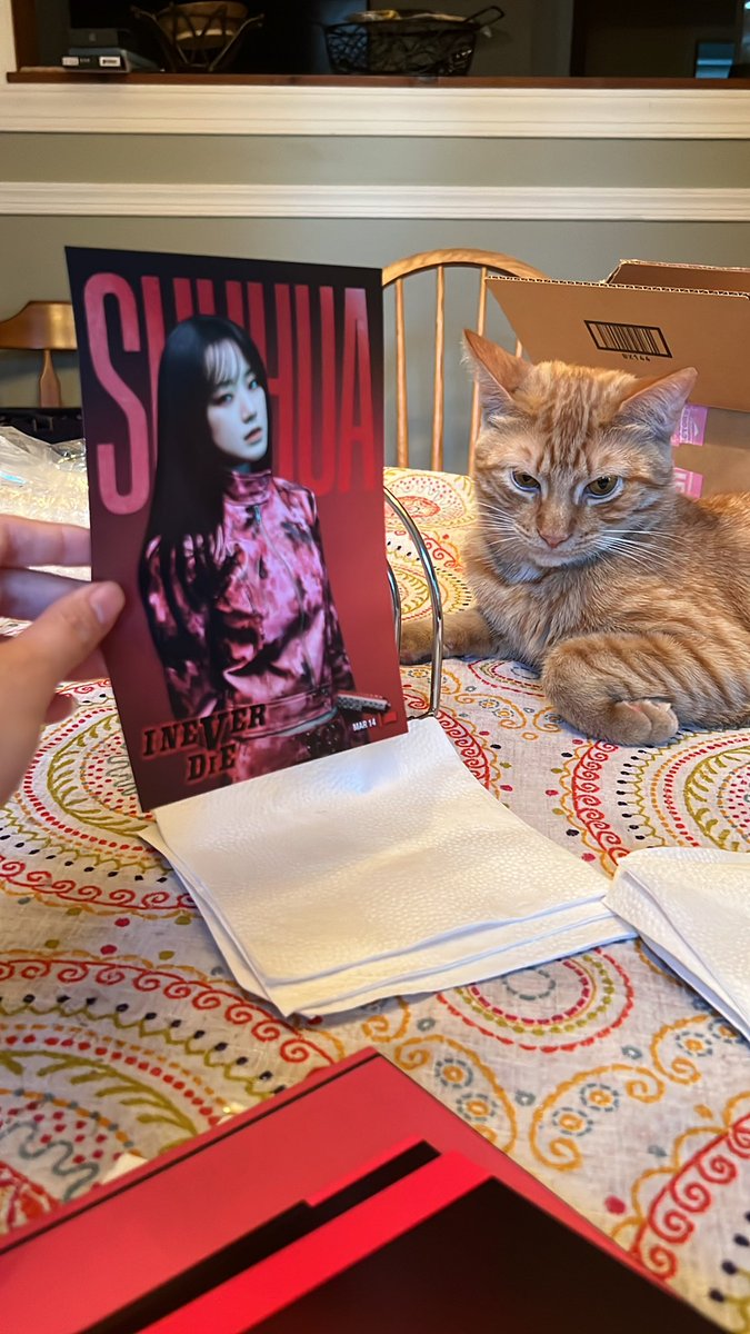 ALEXISLOONA's tweet photo. guys i think mr. creamsicle likes shuhua https://t.co/IPROjQYrdH
