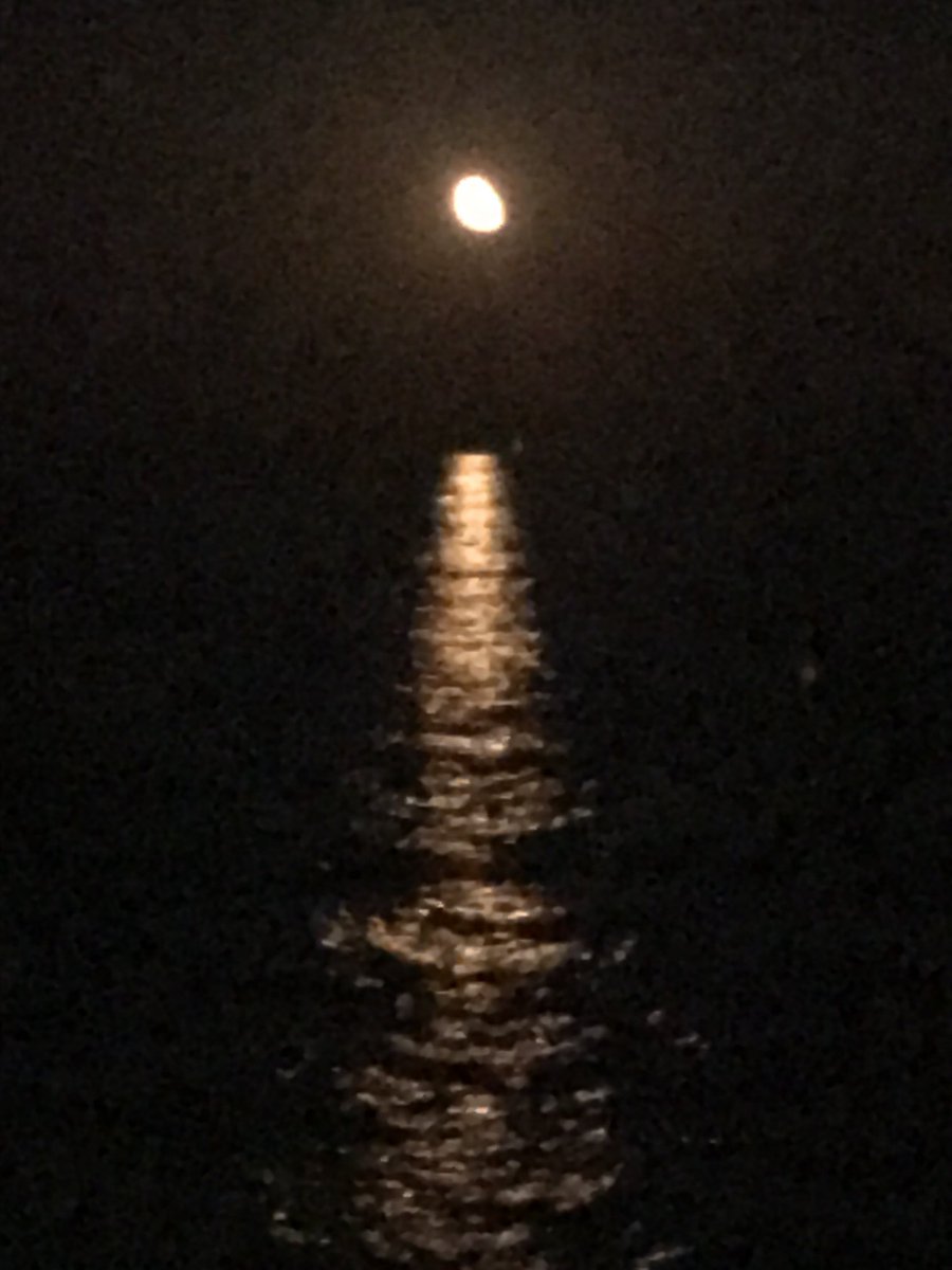 Mina lo parco tweet media