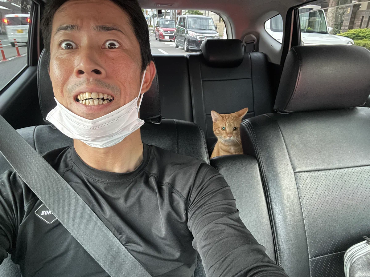 にゃんでやねん！後部座席の気配の正体！
