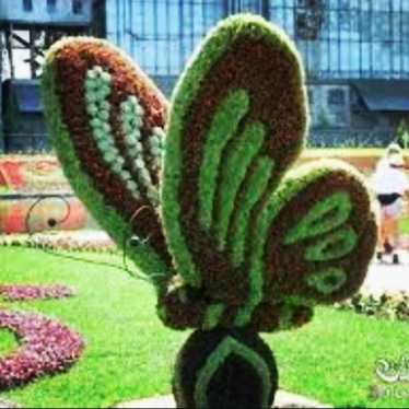 ياه على الجمال 🦋