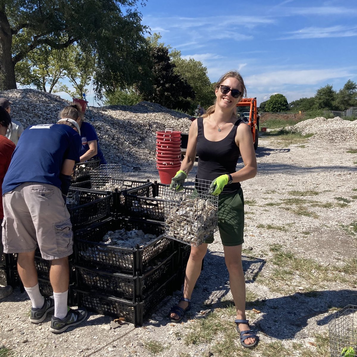 Annet Pauwelussen (@annet81) on Twitter photo Soooo excited 😀 to be in New York City visiting and getting our hands dirty for the famous <a href="/BillionOyster/">Billion Oyster</a> project with <a href="/jess_vandenberg/">Jessica Vandenberg</a>. Part of a pilot study on historical & equity dimensions of oyster restoration in the US East Coast for <a href="/ENPWageningen/">Environmental Policy, Wageningen UR</a> & <a href="/ocean_nexus/">Ocean Nexus</a> Soooo excited 😀 to be in New York City visiting and getting our hands dirty for the famous <a href="/BillionOyster/">Billion Oyster</a> project with <a href="/jess_vandenberg/">Jessica Vandenberg</a>. Part of a pilot study on historical & equity dimensions of oyster restoration in the US East Coast for <a href="/ENPWageningen/">Environmental Policy, Wageningen UR</a> & <a href="/ocean_nexus/">Ocean Nexus</a>