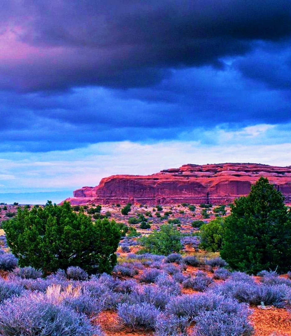 The Deseret Board of Tourism tweet media