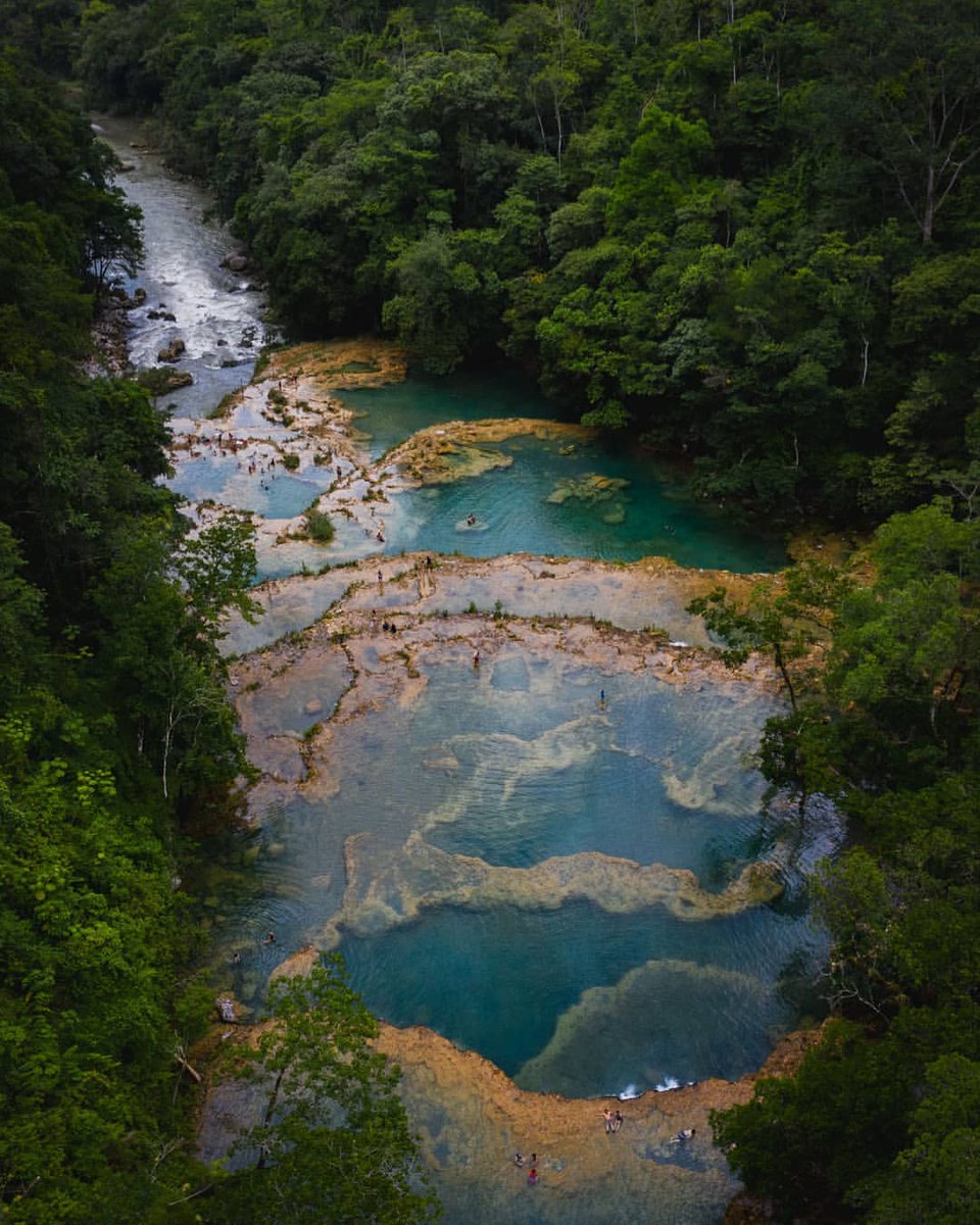 NuestroDiario's tweet photo. Las aguas mágicas de nuestro país 😍🇬🇹 Semuc Champey, Alta Verapaz.
.
.
.
📷 @serotencio
#AltaVerapaz #Guatemala #SemucChampey https://t.co/CHgGDXLOD7