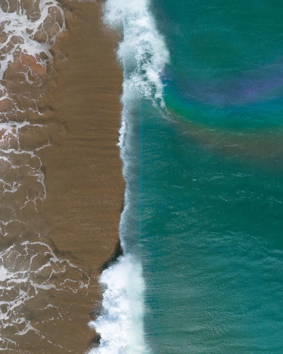 Petra Leary tweet media