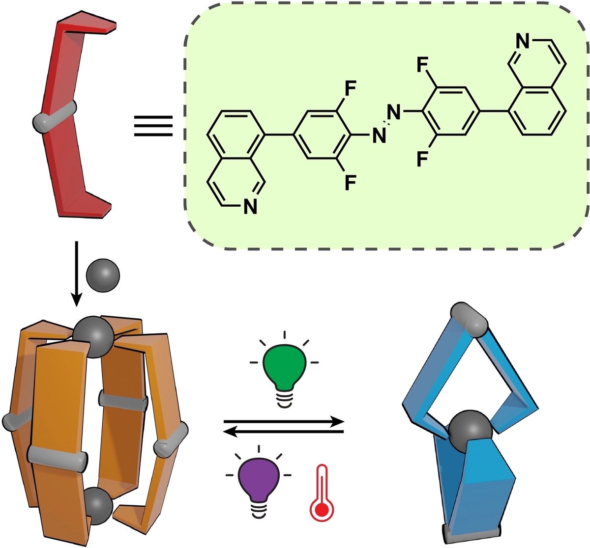 Jon Beves tweet media