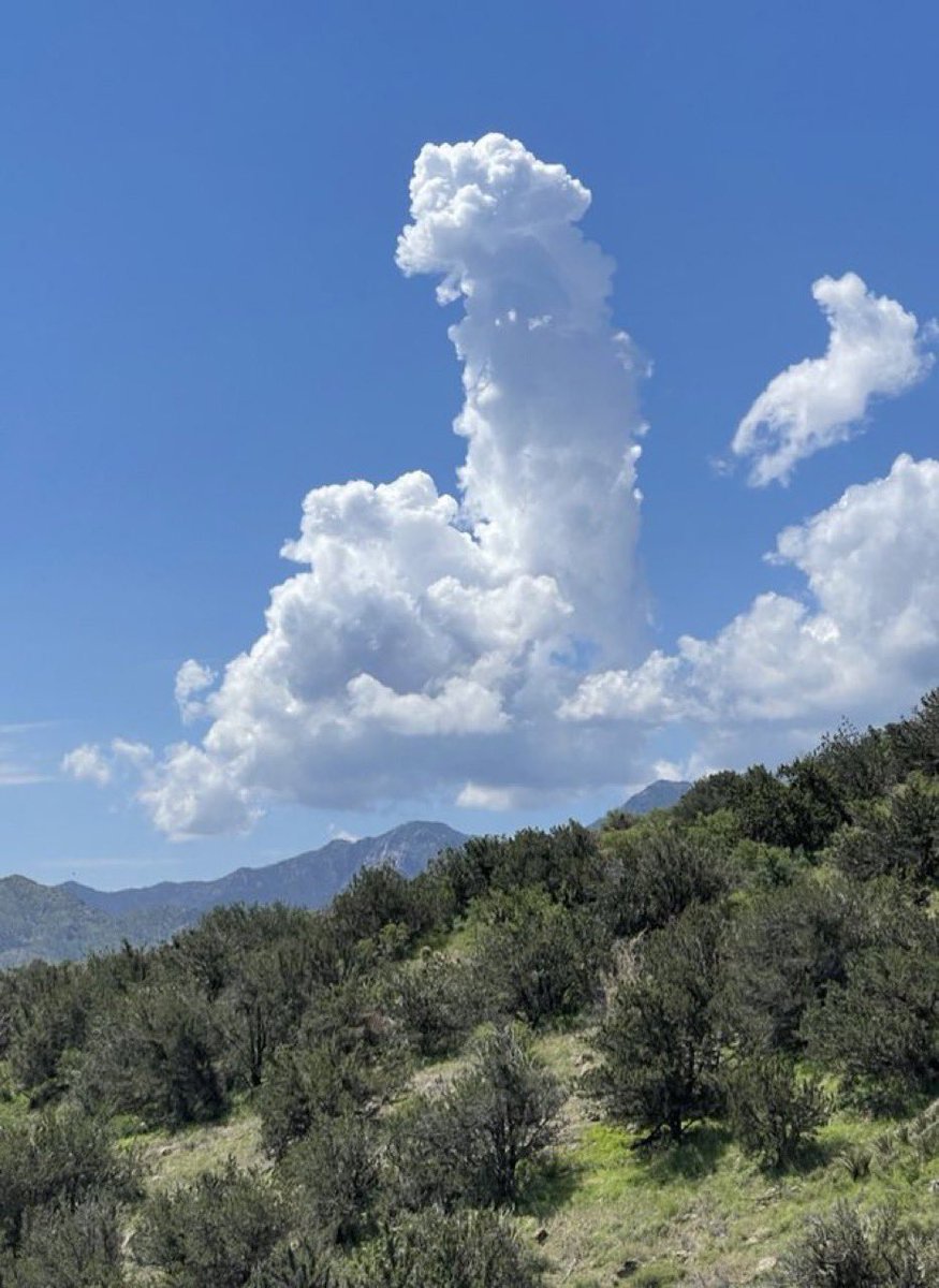Science_Russell's tweet photo. When I was a kid, we’d lay in the grass and stare at the clouds. “Oh, that one looks like a rabbit, that one looks like a brick!  That one looks like a car, and that one looks like a…” https://t.co/ALcEp7dAku