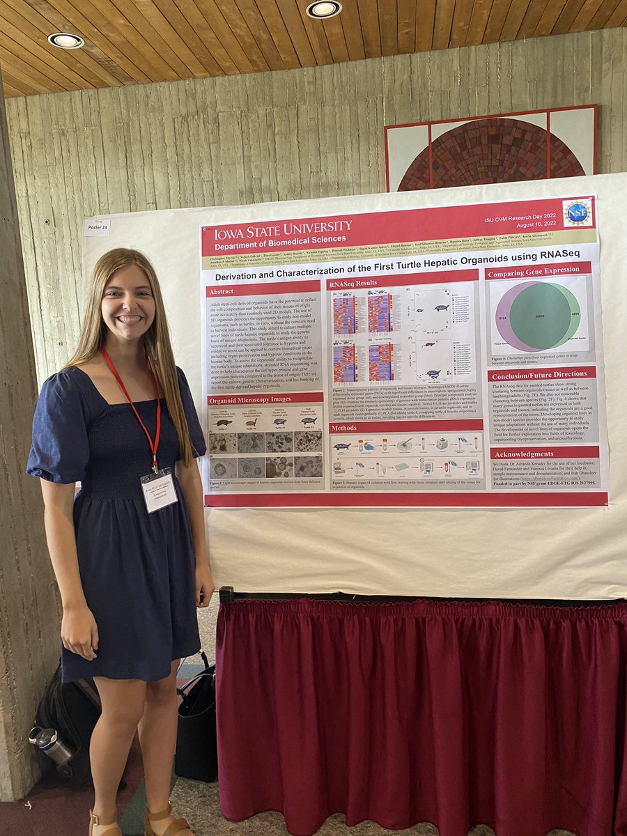 Sydney Honold (@sydney_honold5) on Twitter photo Participated in my first research symposium today with my poster on the derivation and characterization of the first turtle hepatic organoids! Huge thank you to everyone involved!🐢🧬
<a href="/AcademicChatter/">Academic Chatter™</a> <a href="/ISU_GenMajors/">ISU Genetics Majors</a> <a href="/ISUVetMed/">ISU Vet Med</a> Participated in my first research symposium today with my poster on the derivation and characterization of the first turtle hepatic organoids! Huge thank you to everyone involved!🐢🧬
<a href="/AcademicChatter/">Academic Chatter™</a> <a href="/ISU_GenMajors/">ISU Genetics Majors</a> <a href="/ISUVetMed/">ISU Vet Med</a>