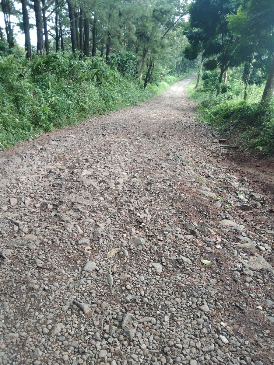 pujisurwanoto's tweet photo. Ndoro @ganjarpranowo 
Niki Margi penghubung desa Kutorojo, kec. Kajen, kab. Pekalongan
Sampun sewindu dereng wonten pengerjaan mayor, padahal desa Kutorojo nipun nderek kecamatan pusat kabupaten Pekalongan https://t.co/WP5PRdRAsv