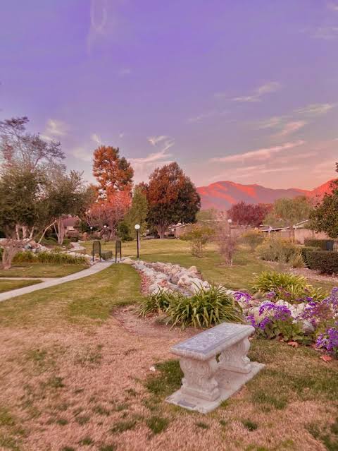 TStudyacc's tweet image. Gapyear jd males bgtttt tapi tetep harus semangat with a little bit of refreshing 

#studytwt #ambistwt #ambisvers #study