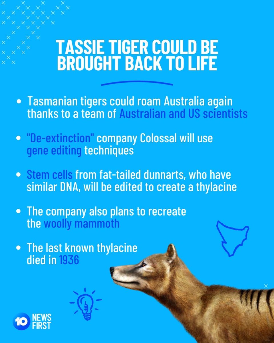 10 News Sydney tweet media