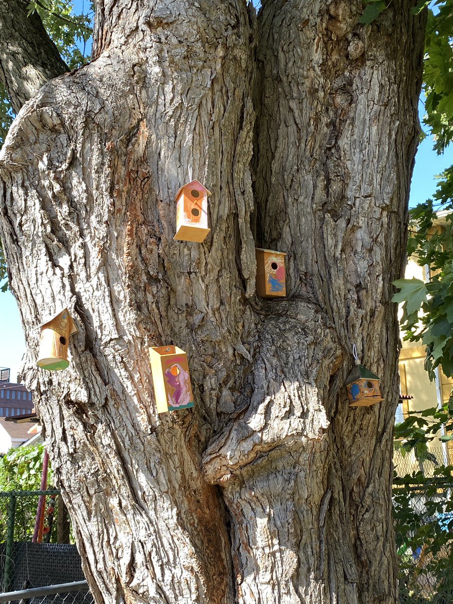 Kathy Ditto tweet media