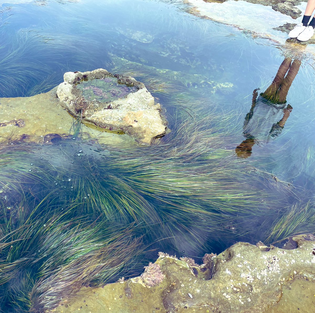 Missing the weekly podcast but loving the summer reads from <a href="/onbeing/">The On Being Project</a> #StreamOfTimelessness