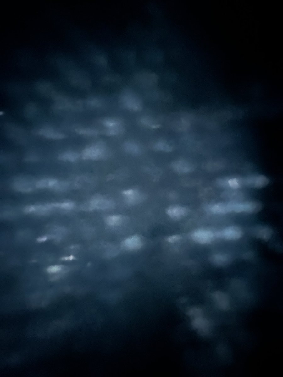 HeavyNature's tweet image. I call this series, “Inside my pocket”.