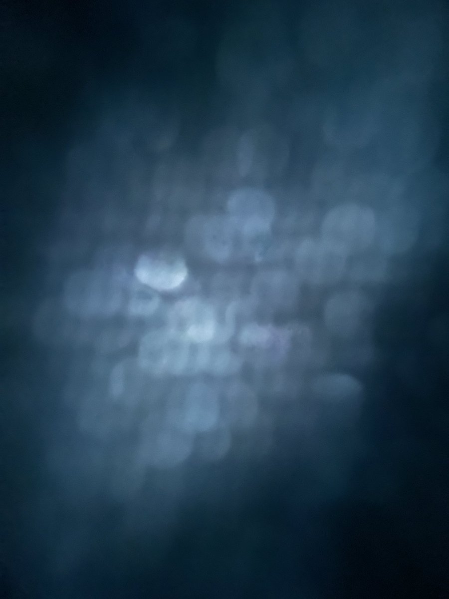 HeavyNature's tweet image. I call this series, “Inside my pocket”.