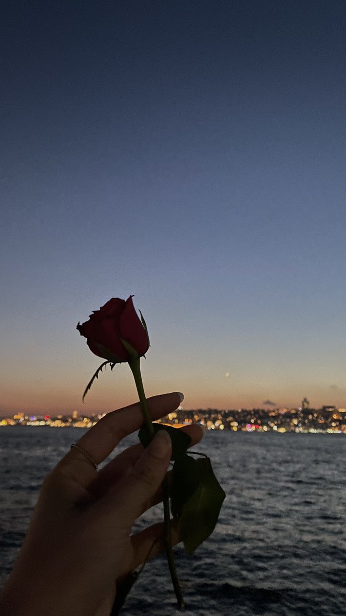 sed (@sedanurkrsmn) on Twitter photo 