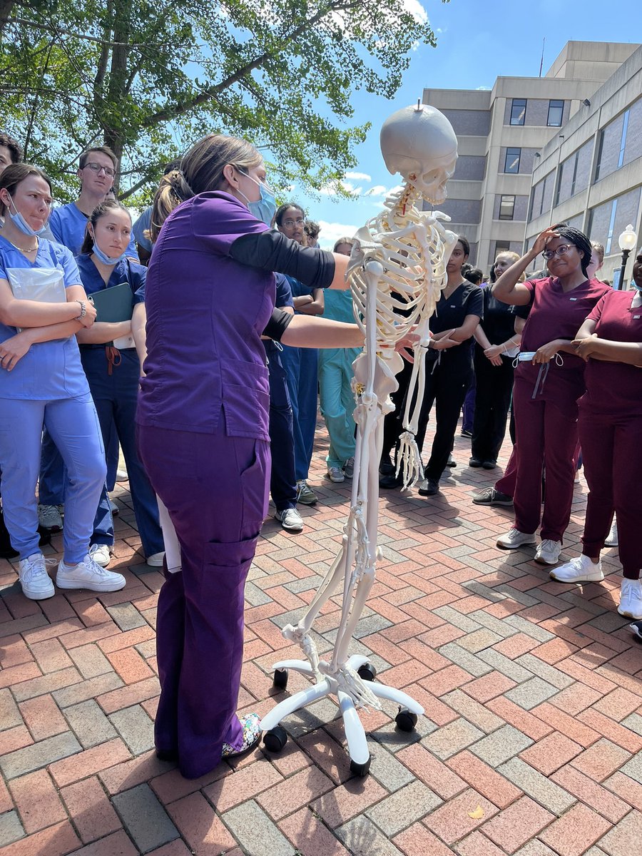 Caitlin_Coker1's tweet photo. When a fire drill interrupts lab and too many hours have already been cut from the curriculum 😆 #anatomy #MedTwitter #MedEd https://t.co/6R5eIb5G8H
