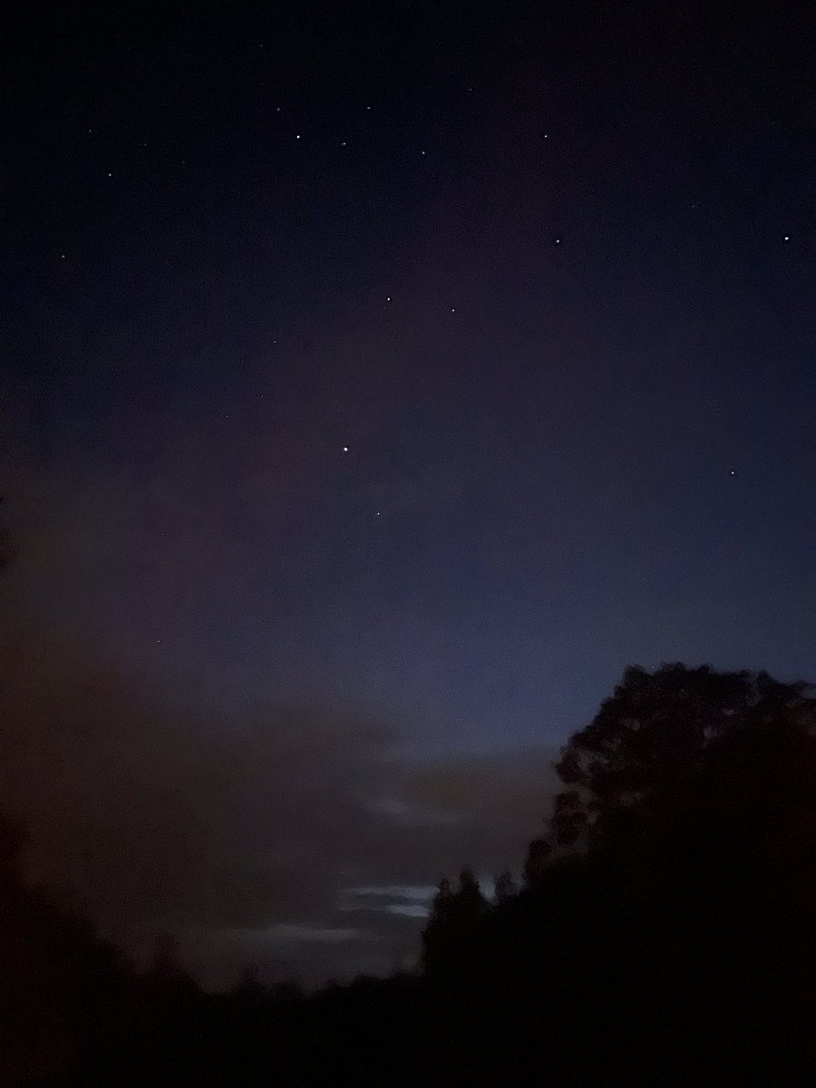 Feelin Froggy tweet media