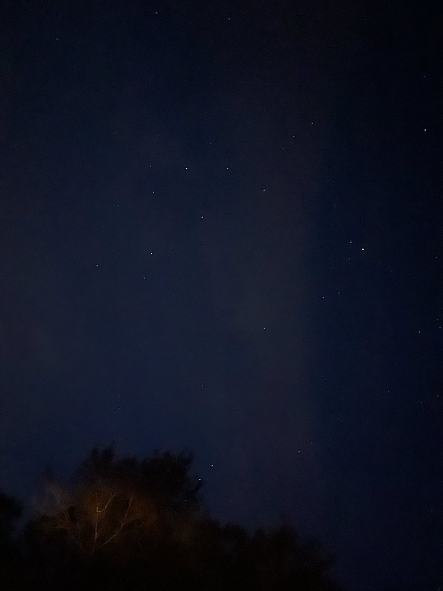 Feelin Froggy tweet media