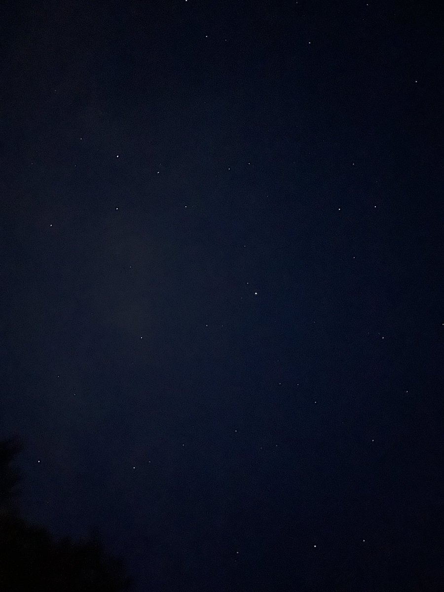 Feelin Froggy tweet media