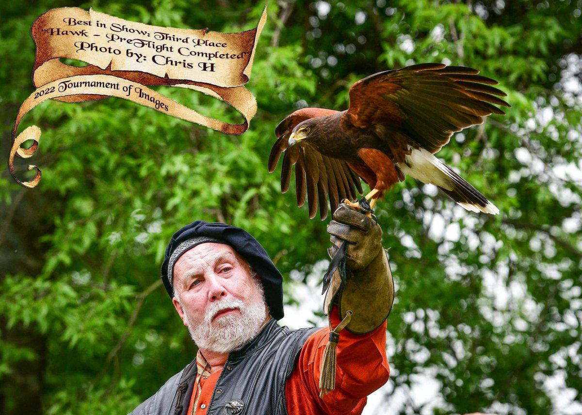 Scarborough Faire® tweet media