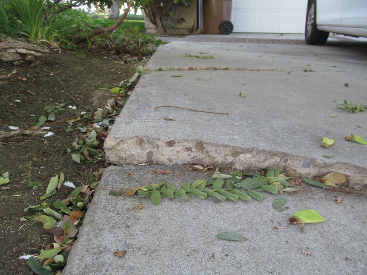 AffordableSide1's tweet photo. Get 100% assured and professional trip hazard removal services at Affordable Sidewalk Solutions. You can reach us at +1 (954) 232-2548 and request a free estimate.

For more details connect with us today! https://t.co/GQuSCvKpUj #TripHazardRemoval #ConcreteRemoval https://t.co/AVc7Gf0Cvn