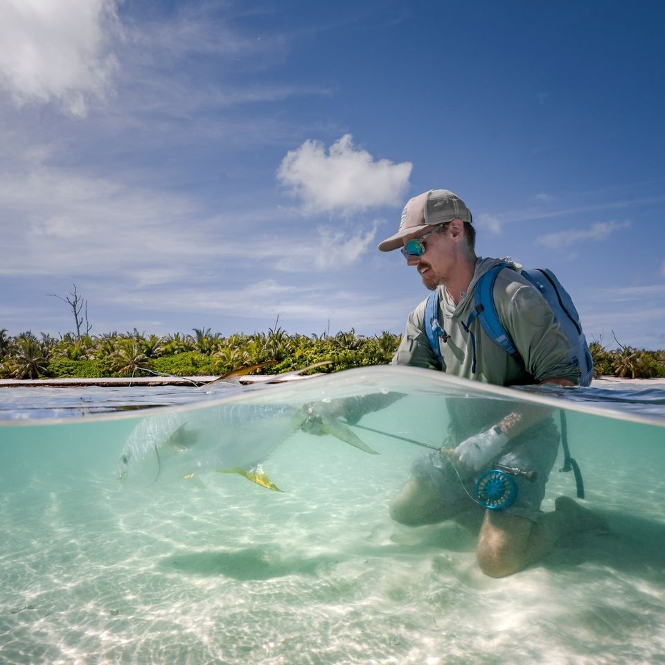 AlphonseFishing's tweet photo. Large golden nuggets on Farquhar!
#OuterIslands #CatchAndRelease #PermitFish #KeepFishWet #Conservation #AFCguides #flyfishing https://t.co/DjxH5EU8AE