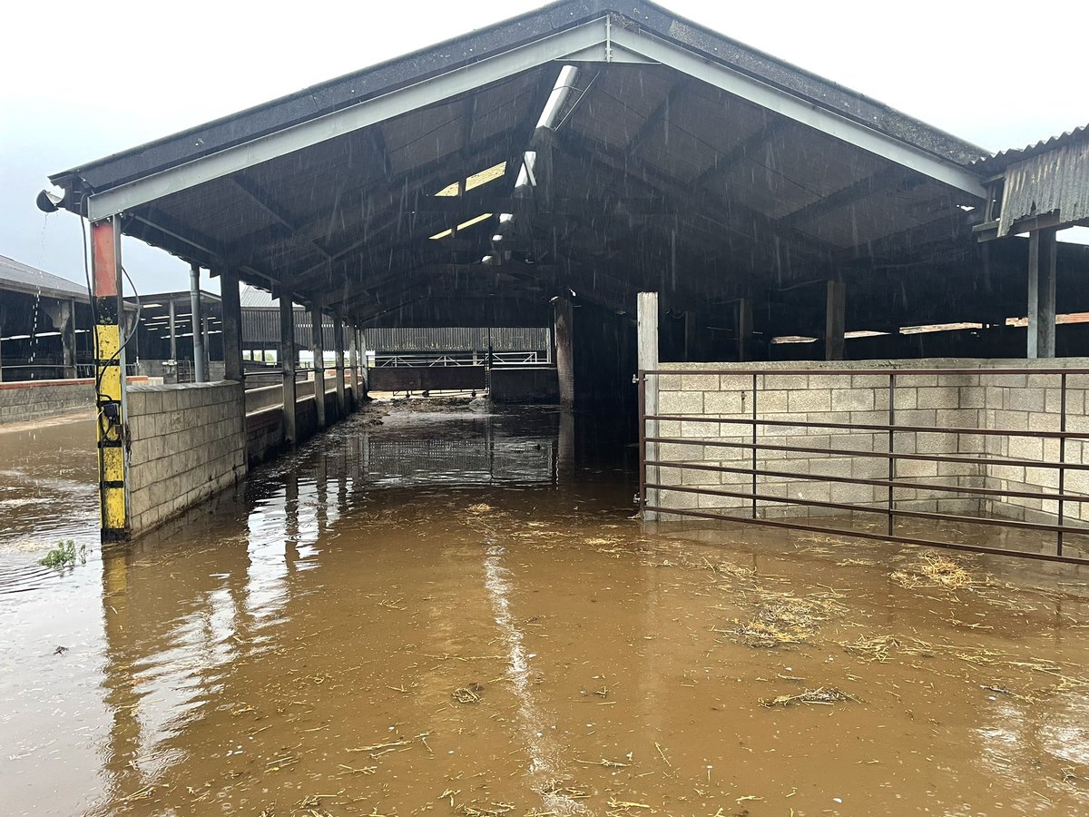 Allwood17's tweet photo. @dgwhoyles @sje_day Thank you David, most cattle are now in sheds as lack of grass. This is one crew yard this morning a foot under water, no cattle in this one tho thankfully! 🐄 ☔️ https://t.co/xVsr8Zxiix