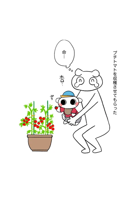 育児雑日記です
ちいさい命が…まぶしい…🍅 