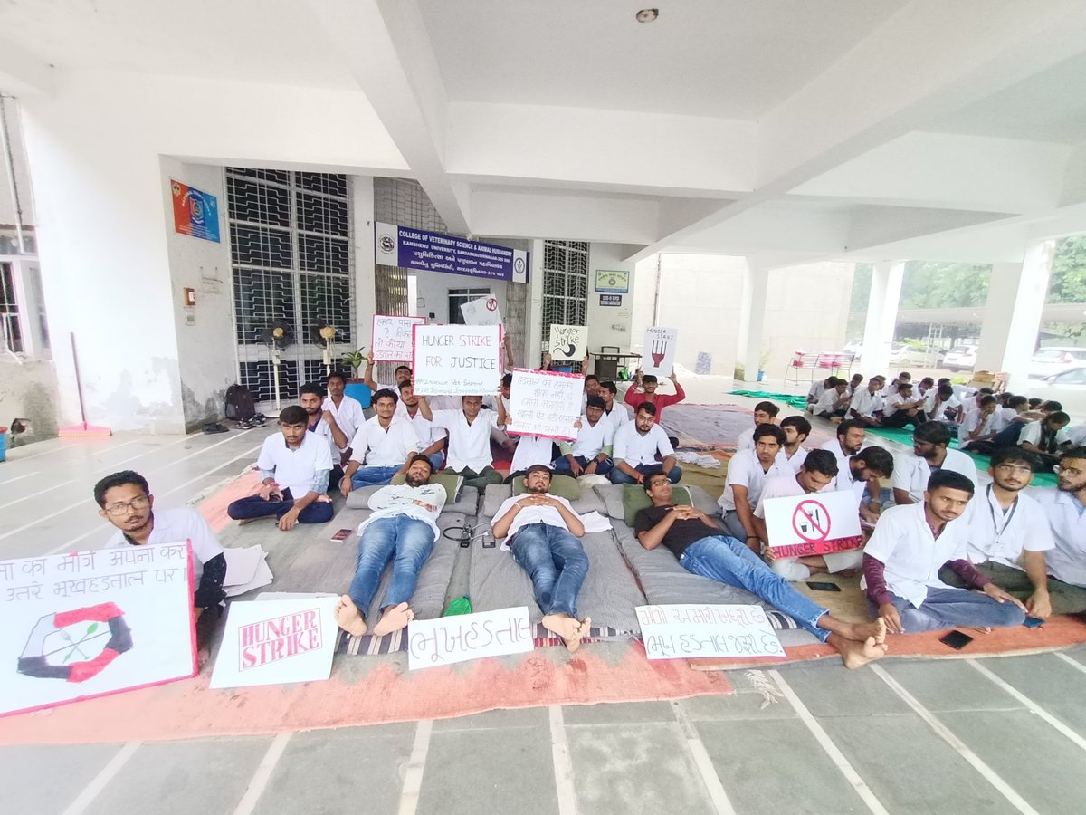 કામધેનુ યુનિવર્સિટી અંતર્ગત દાંતીવાડા કોલેજનાં વિદ્યાર્થીઓ છેલ્લા16 દિવસથી હડતાળ ઉપર છે. અને 3 વિદ્યાર્થીઓ 24 કલાકથી ભૂખ હડતાળ ઉપર ઉતર્યા છે. અમારી માંગ છે કે Internship માં મળતું ભથ્થું 4200 થી 18K કરવામાં આવે🙏 <a href="/CMOGuj/">CMO Gujarat</a> <a href="/Bhupendrapbjp/">Bhupendra Patel</a> <a href="/KanuDesai180/">Kanu Desai</a> <a href="/RaghavjiPatel/">Raghavji Patel</a> #hungerstrike