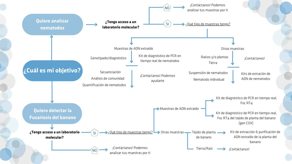 ClearDetection1's tweet photo. 🏝️ En ClearDetections hemos creado un árbol de decisiones para guiar a nuestros clientes en el proceso de compra de nuestros productos. ¡Fácil y rápido!

Para interactuar con el árbol de decisiones, consulta el siguiente enlace: [https://t.co/XKtqvnABOY]
#nematodo #qPCR https://t.co/RkjgJVry9x