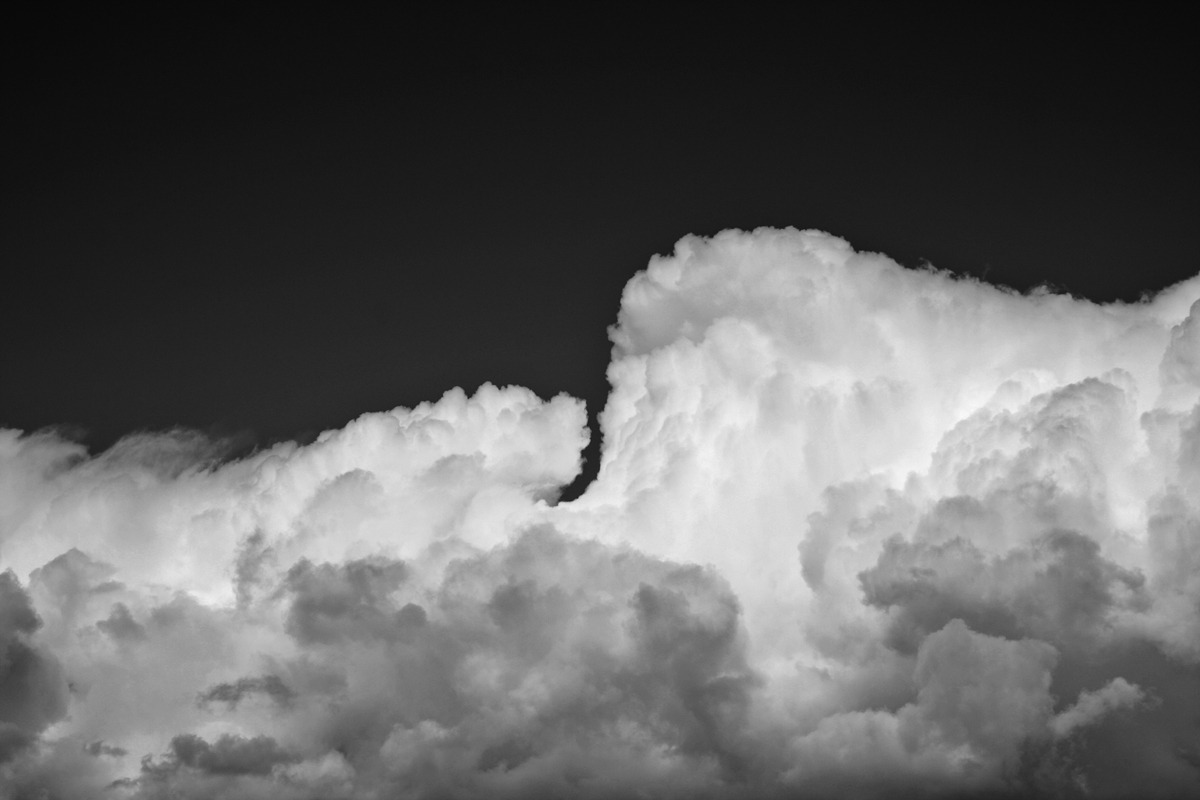 archillect's tweet image. 