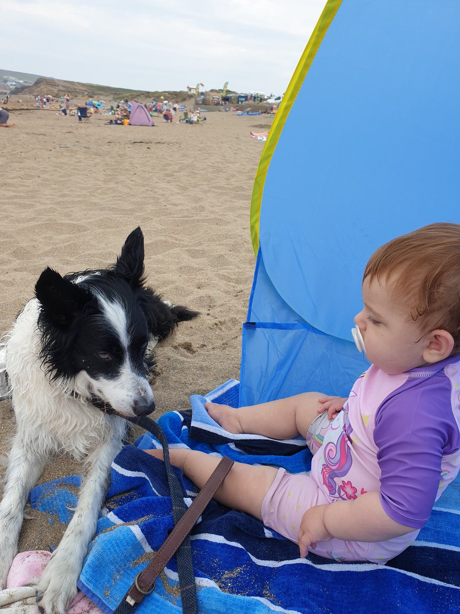 bella_collie's tweet photo. Just reminiscing about the beach when it was sunny...now its raining and there are flood warnings, we may not make it home...what a shame that would be #dogsoftwitter #dogsarefamily #bordercollie #Cornwall https://t.co/OCc5yvQ2Mg