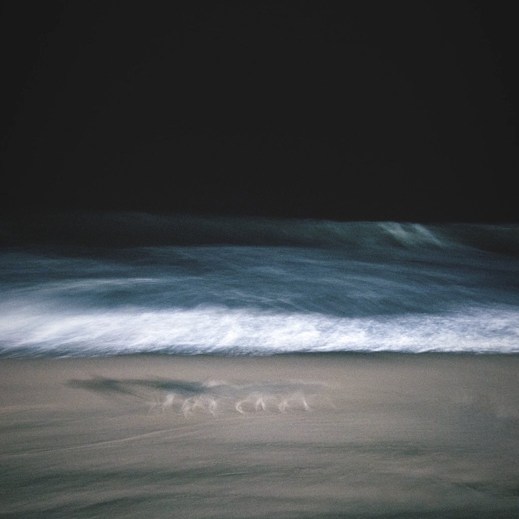 prajeeshad's tweet image. High spirit
#sea #waves #beach #dog #running #longexposure #abstract #fineart #photography #highspirit #MOVEMENT #prajeeshad