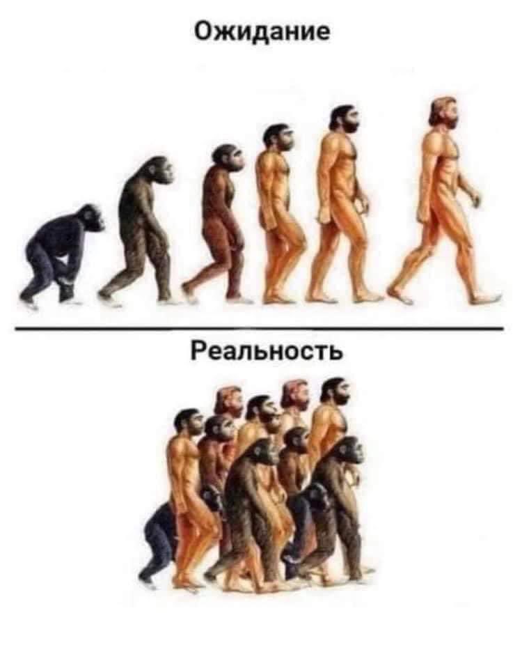 arestovych's tweet photo. - Если бы «…власть предупредила заранее» вы бы не поверили. 

Вы бы ржали, постили мемы и глубокомысленно рассуждали о том, что «…Зе уже не знает, как поддержать свой проваленный рейтинг».

Часть бы поверила. Началась бы паника национального масштаба:

https://t.co/tHR53VWPZL https://t.co/9DokOezKah