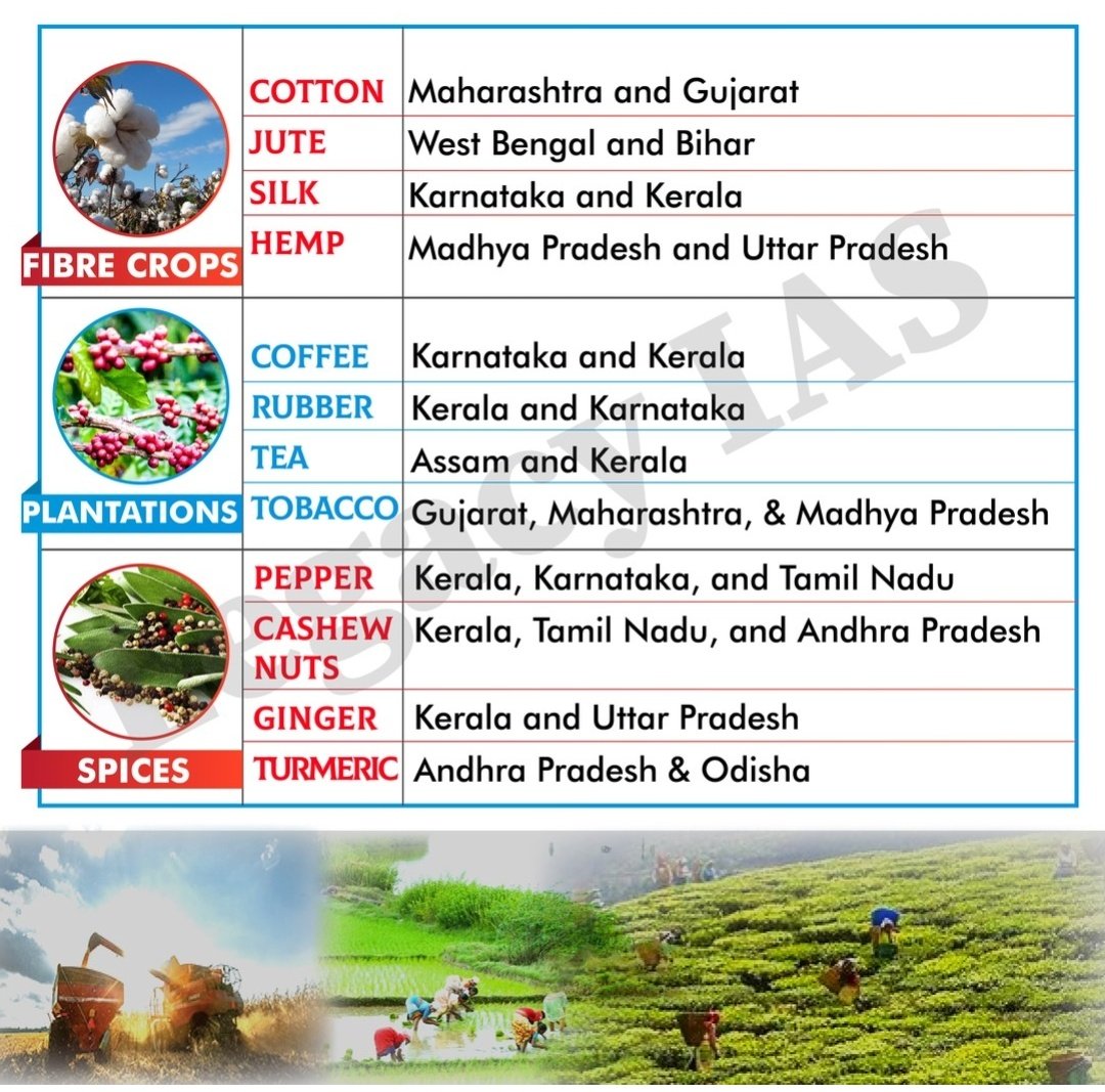 BORN4WIN's tweet photo. Here ๐๐ is the list of Major crops and their producing states.
#upsc #tspsc #appsc #tnpsc #gs
#mppsc #mhpsc #crops #kpsc
(Data courtesy: Legacy IAS) https://t.co/kNxXa4DWaB