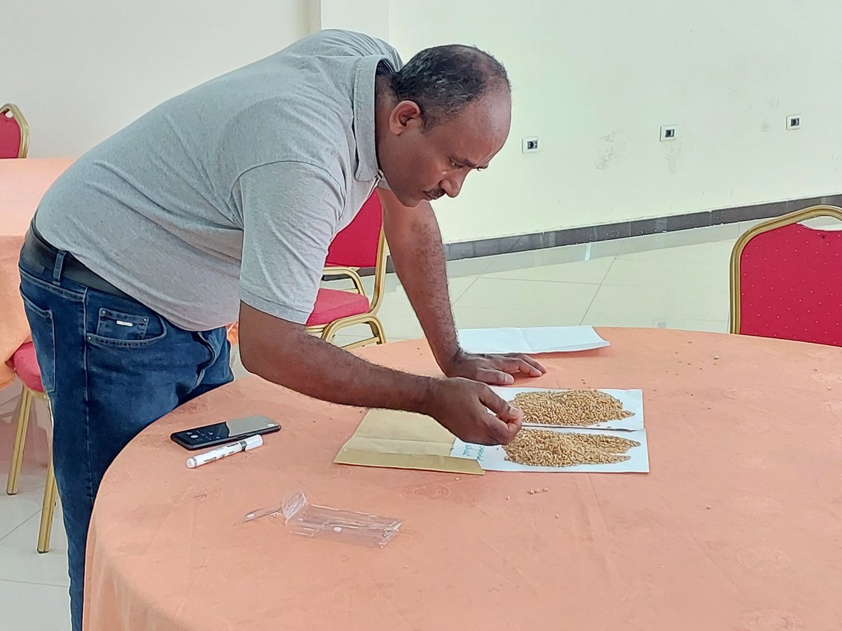 CGKChege's tweet photo. Durum wheat LINK workshop in Bishoftu, Ethiopia with stakeholders..Great processing opportunities for private sector @konyangokev @markincolombia @BiovIntCIAT_eng @CelineTermote @mtilahun279
#LINKTRAINING https://t.co/hlfwtmNgpJ