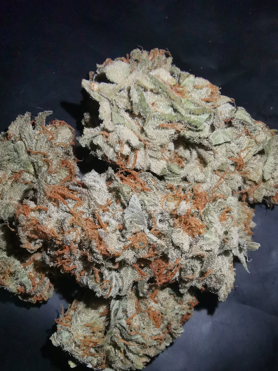 Getkit1's tweet image. OG​ งานดี​ ราคามิตรภาพ​  👍
Pink Haze
Lemon Cookies
Bubblegum
Golila​ glue
==============
ชมสินค้าอื่นได้ที่​ shop.line.me/@597mponl
ติดต่อ​ Line : @597mponl
#กัญชา #ขายกัญชา #กัญชาเชียงใหม่ #กัญชาออแกนิค #กัญชากรุงเทพ #กัญชาโอจี​ #กัญชาog #กัญชาเสรี​ #marijuana #กัญชาอัดแท่ง