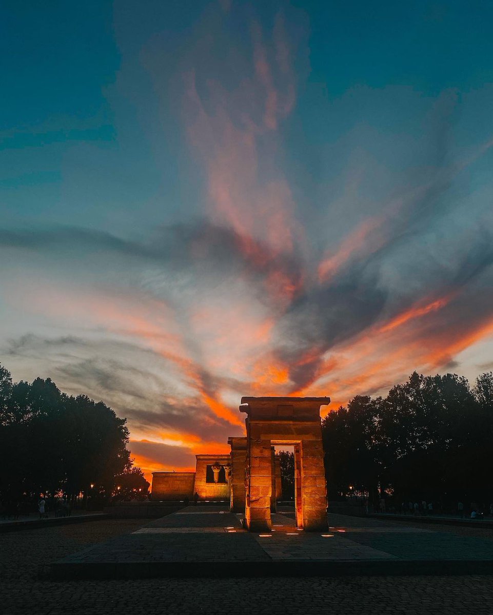 Adrián | Gato por Madrid 😺 tweet media