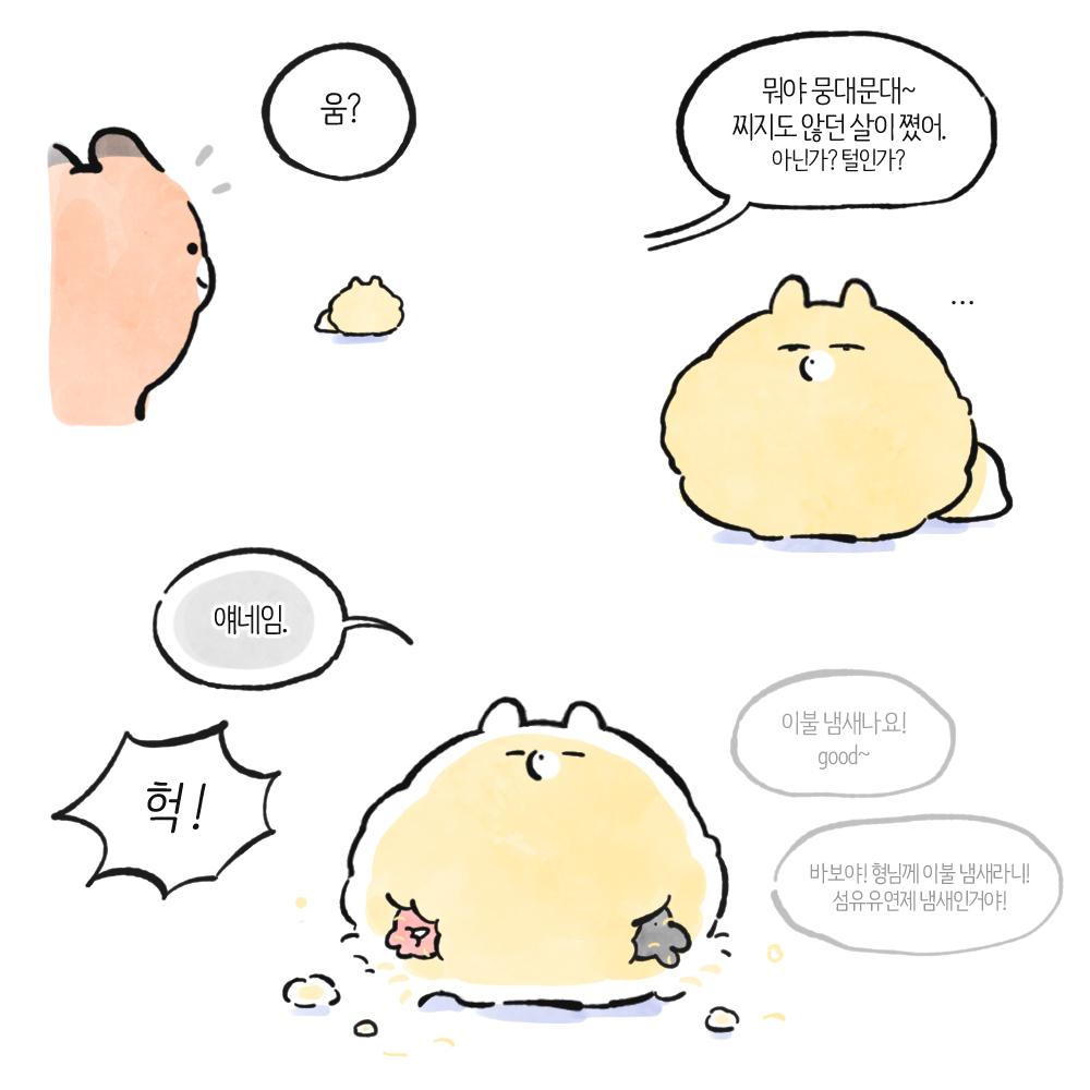 춘봉 tweet media