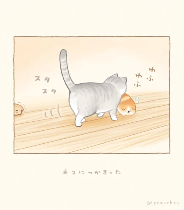 🐈 