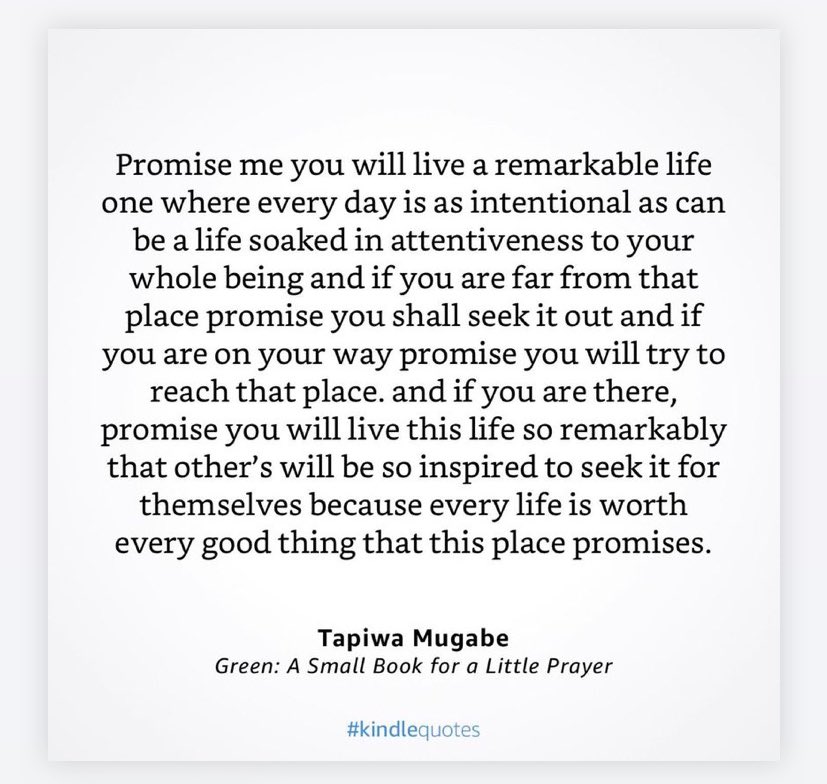 Tapiwa Mugabe tweet media
