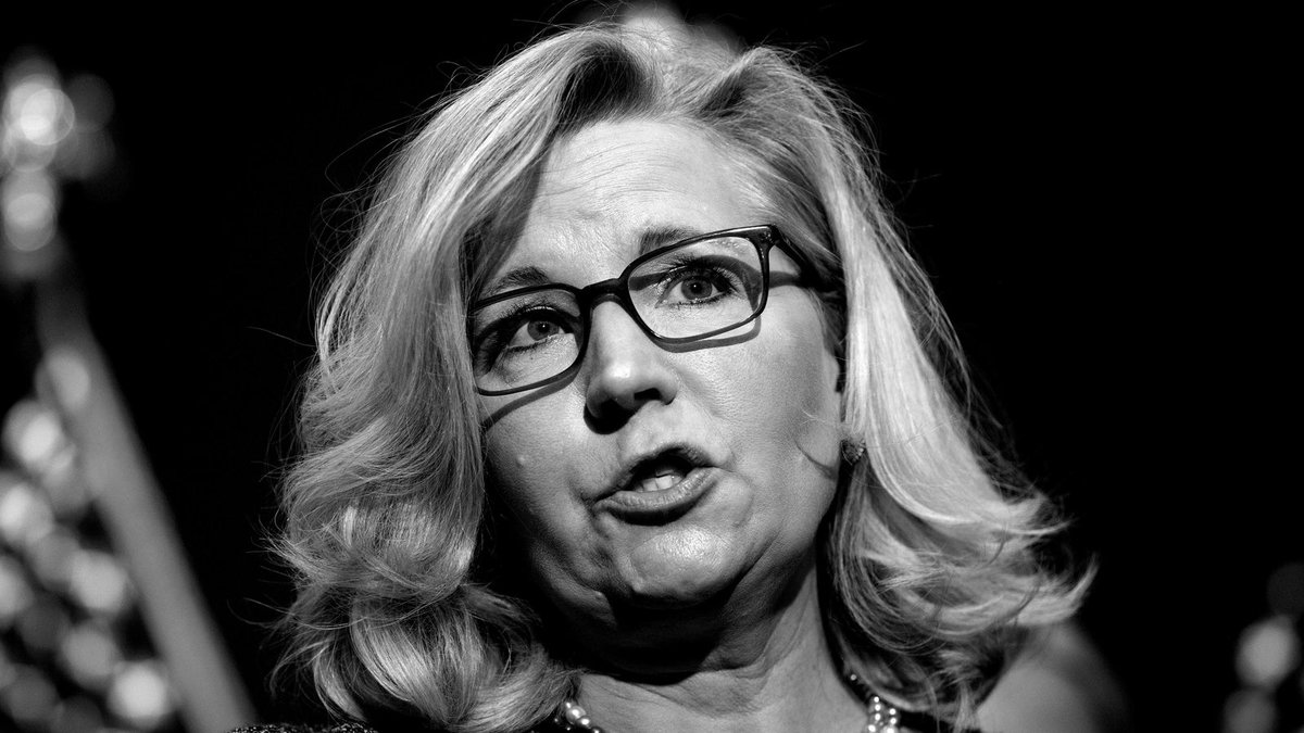 TheGratitudeGuy's tweet photo. Liz Cheney: The WOMAN with bigger balls than TRUMP could ever dream of having. #pig #trumppig #TrumpTreason #trump #gop #LizCheney #bigballs #Cheney #WyomingPrimary https://t.co/ARG3p3w0II